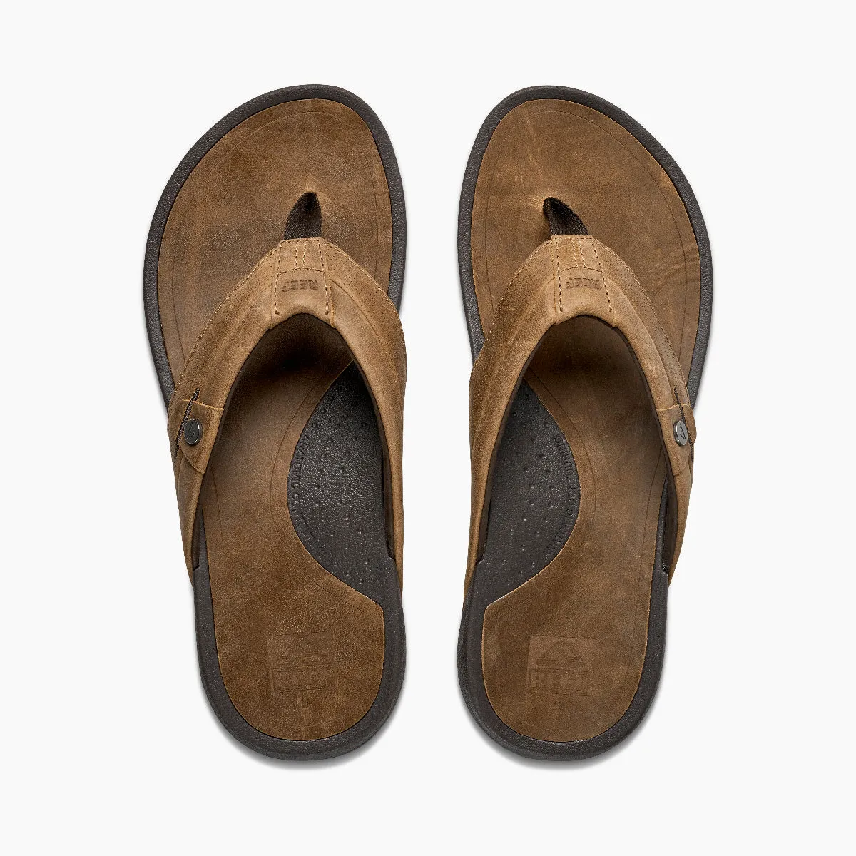Reef Pacific Le