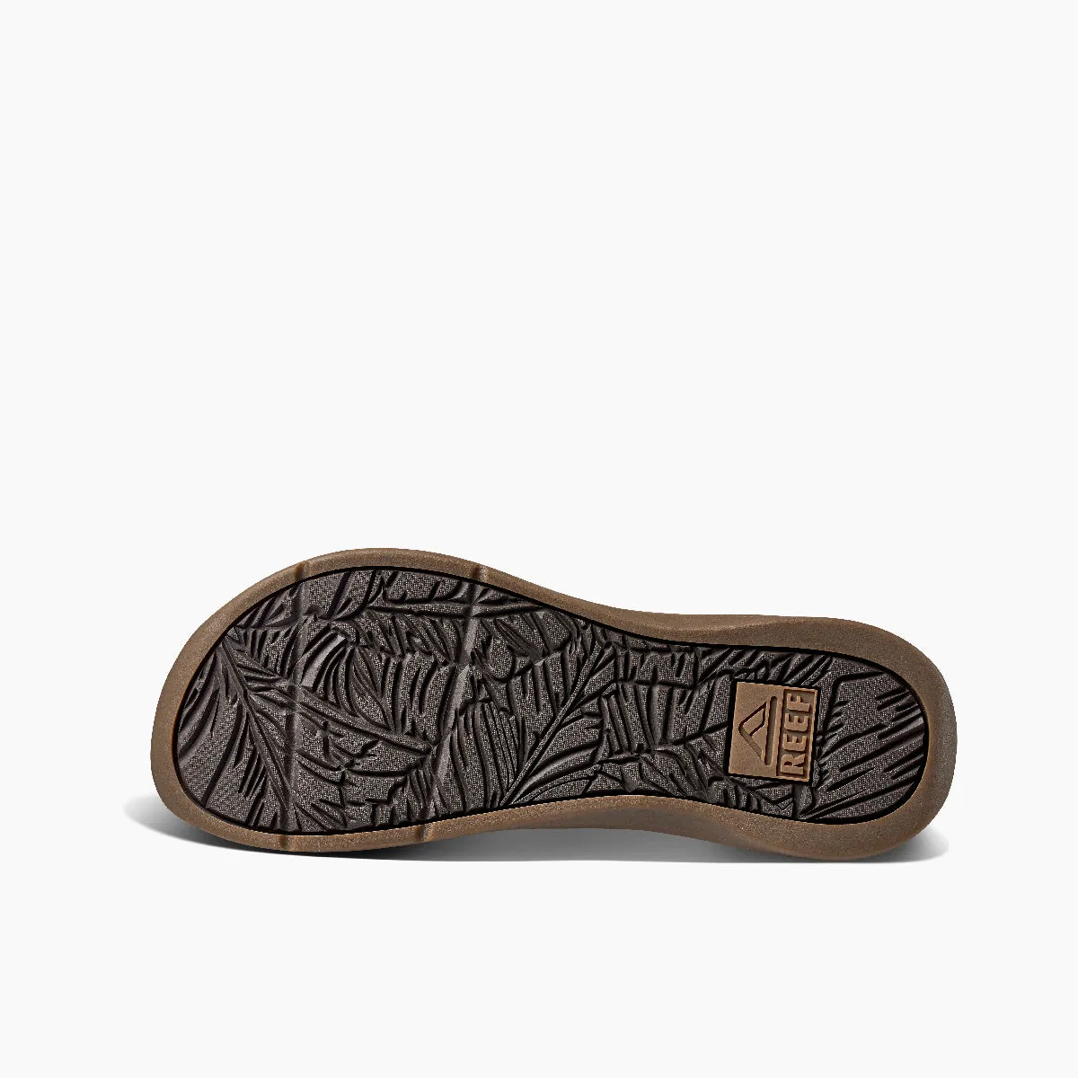 Reef Pacific Le