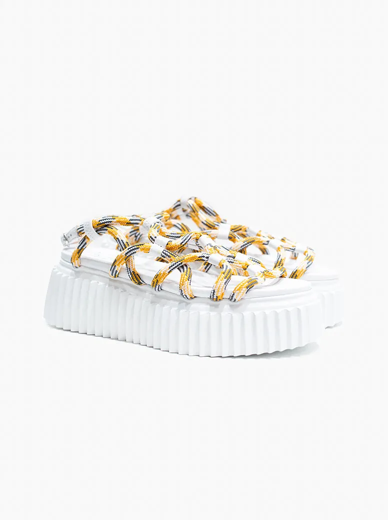 Vortex white multi